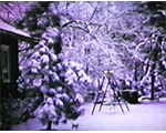 8mm_01_020_6122 snow, making snowman, Rosemary, Susan, Sheri Lynch